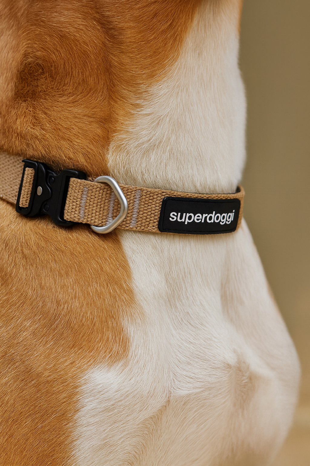 The Everyday Collar