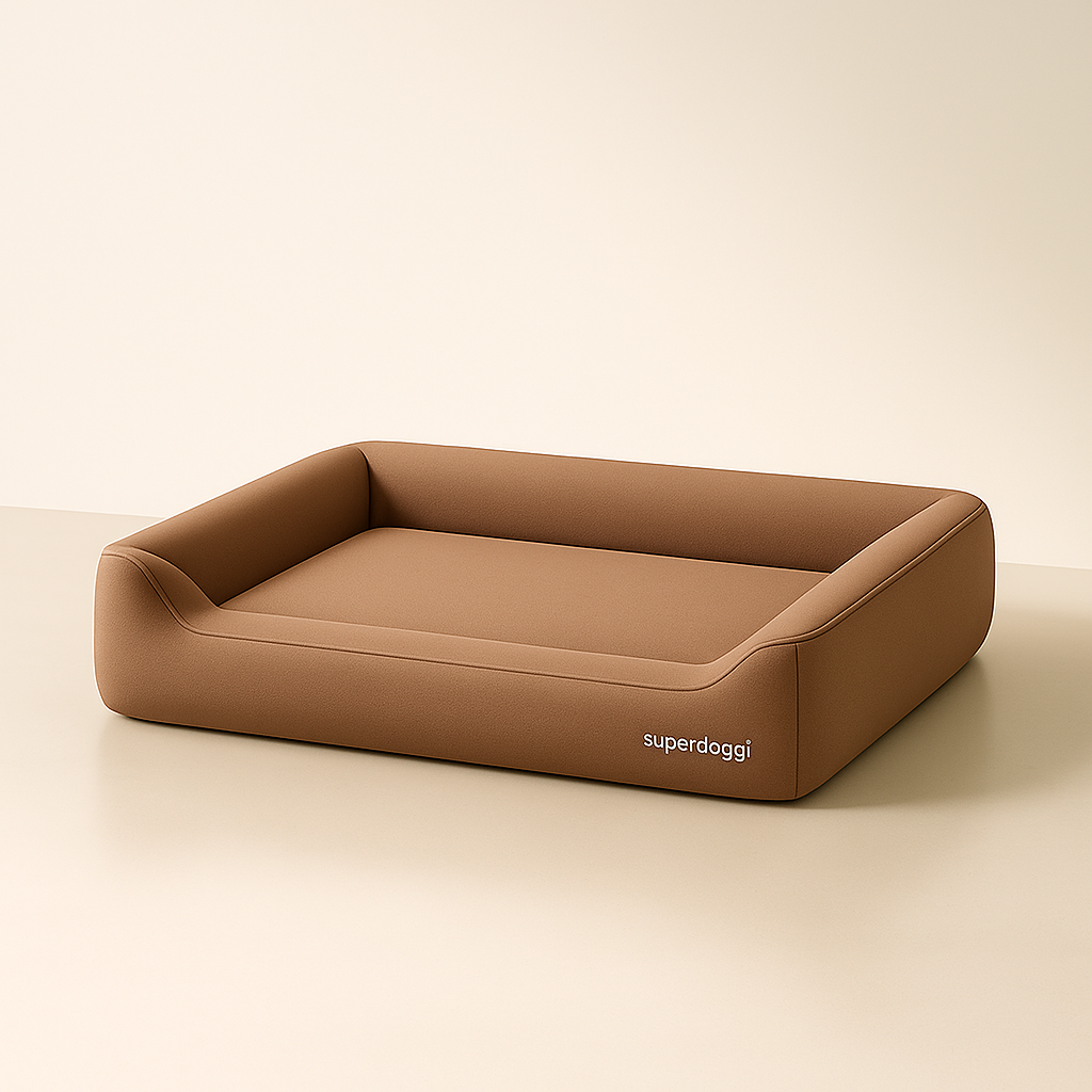 Modern Dog Bed